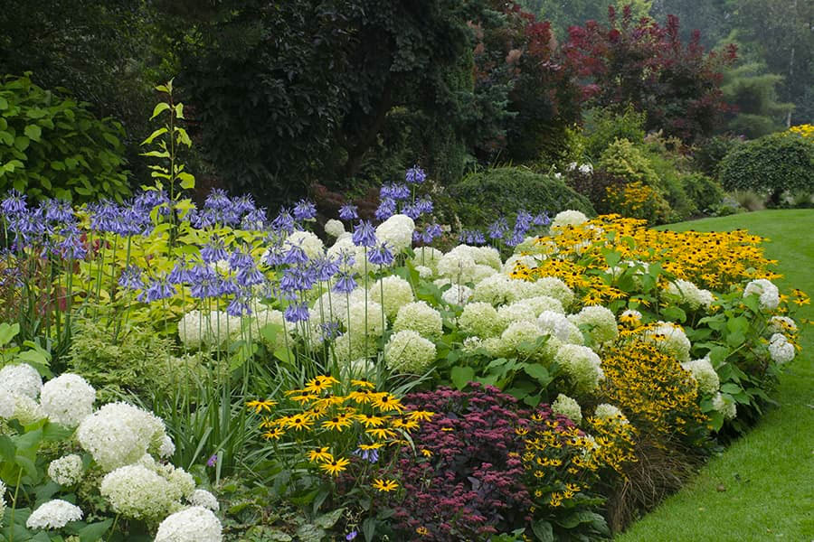 Make a great first impression with your garden